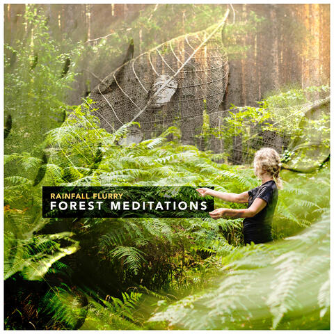 Forest Meditations