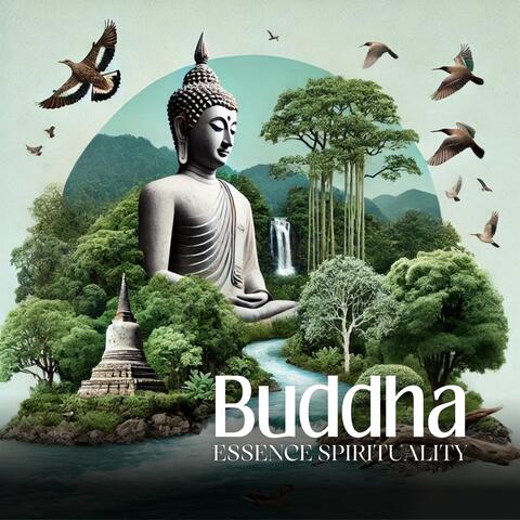 Buddha Essence Spirituality