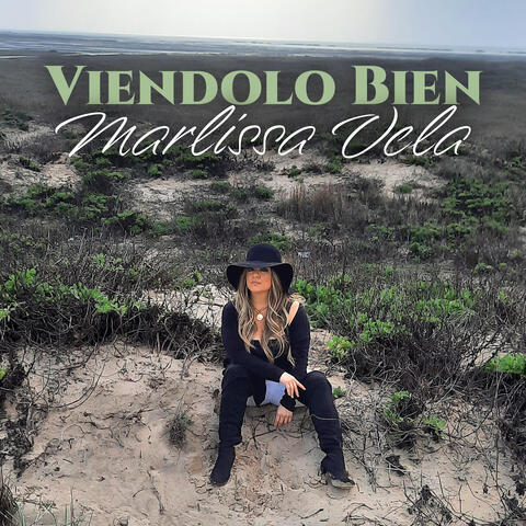Viendolo Bien