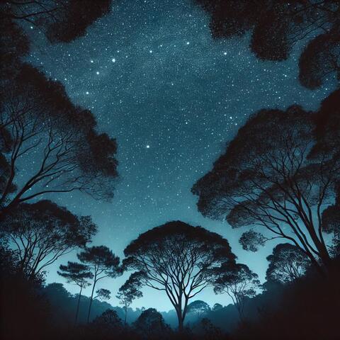 Natural Chillout 2024