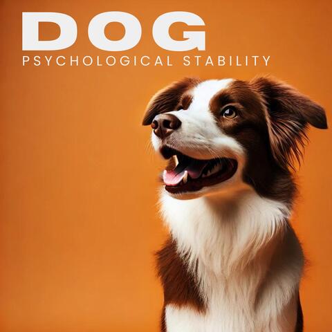 Dog Psychological Stability: Music Therapy for Anxious Dogs