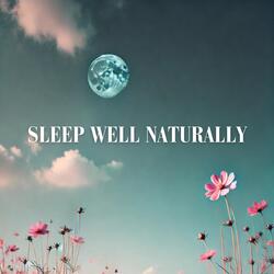 Barely Awake (Evening)