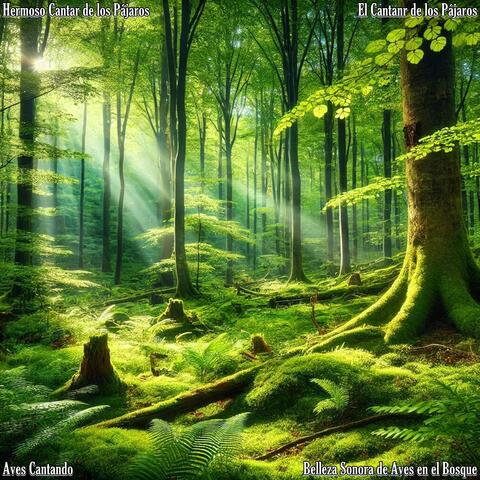 Belleza Sonora de Aves en el Bosque
