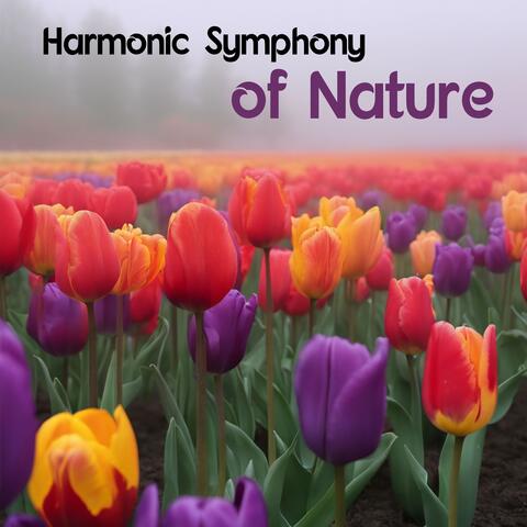 Harmonic Symphony of Nature: Soothing Melodies for Inner Peace