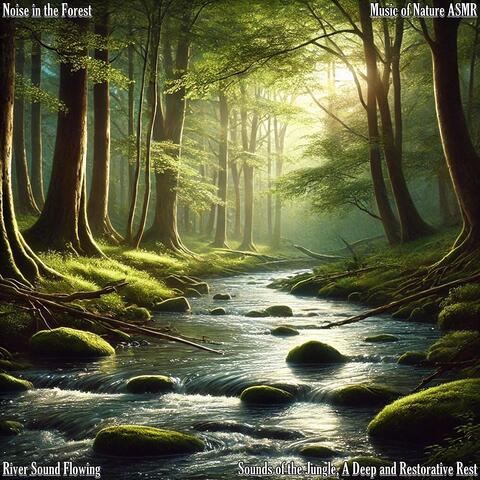 Sounds of the Jungle, a Deep and Restorative Rest