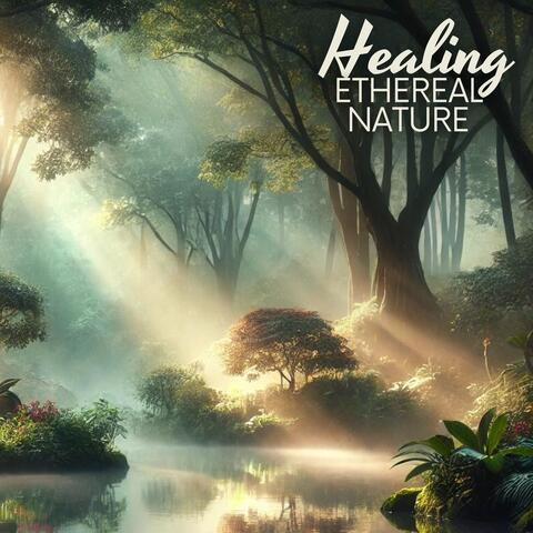 Healing Ethereal Nature: Ambient Meditation Session
