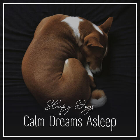 Calm Dreams Asleep
