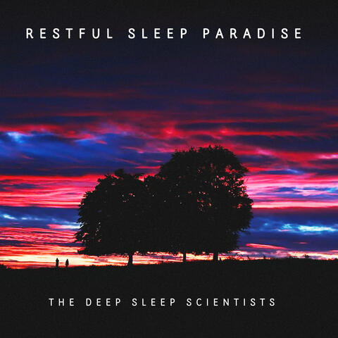Restful Sleep Paradise