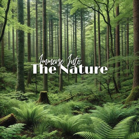Immerse Into the Nature: Be Closer to Mother Earth, Natural Meditation, Energy Balance