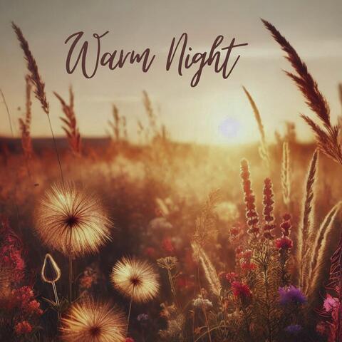 Warm Night: Dreaming Nature Sounds for Insomnia Relief