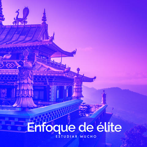 Enfoque de élite
