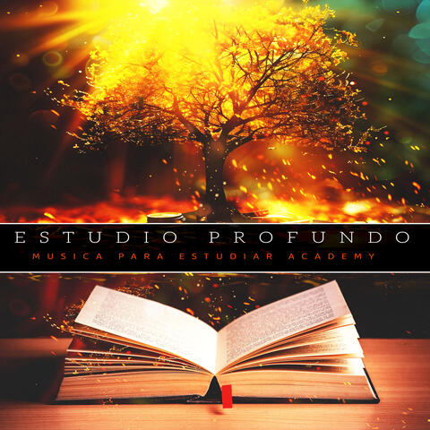 Estudio Profundo