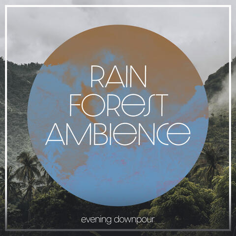 Rain Forest Ambience