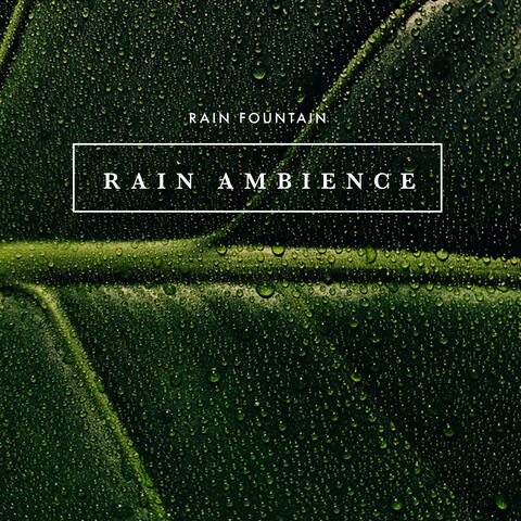 Rain Ambience