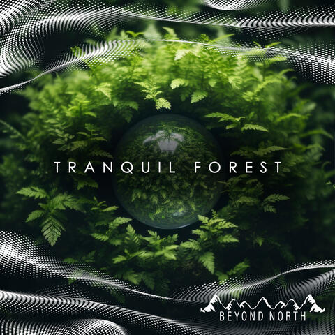 Tranquil Forest
