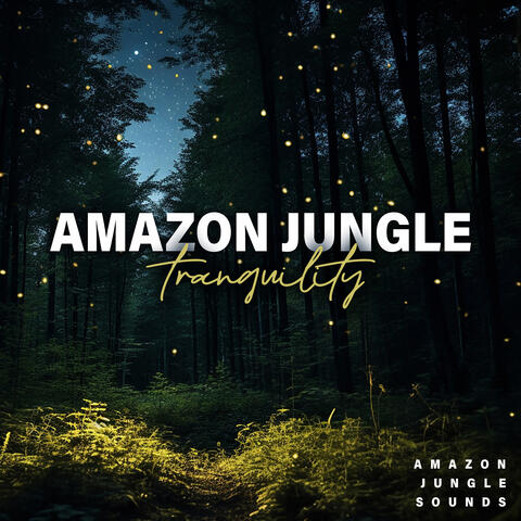 Amazon Jungle Tranquility