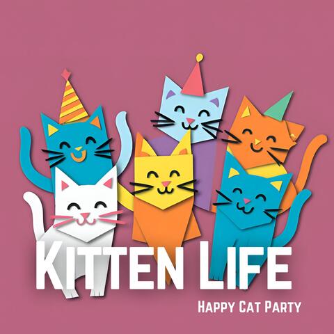 Kitten Life
