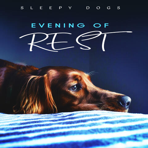 Evening of Rest