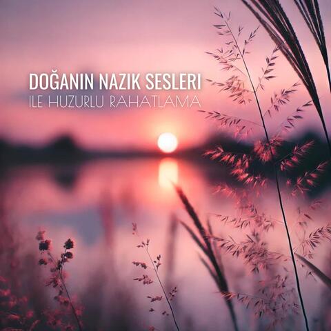 Doğanın Nazik Sesleri ile Huzurlu Rahatlama