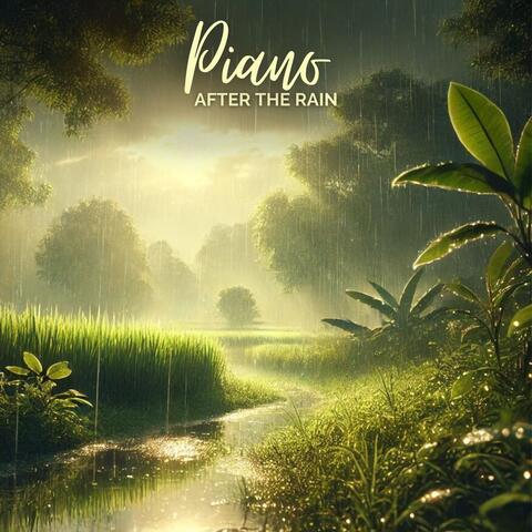 Piano After the Rain