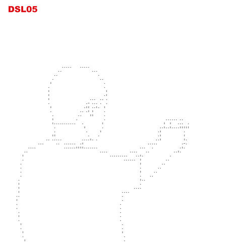 DSL05