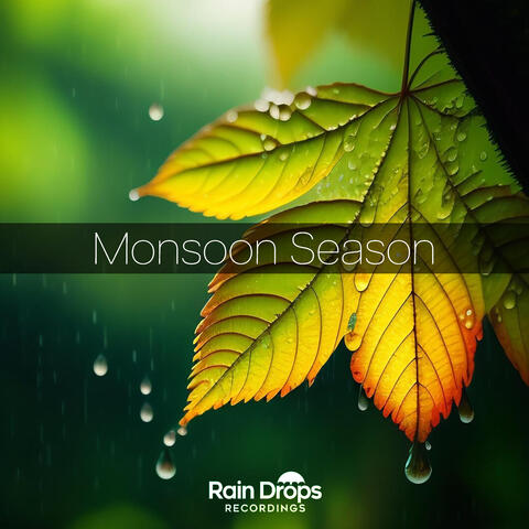Monsoon Season