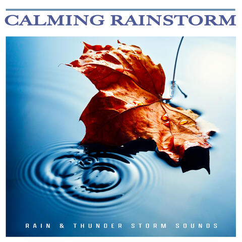Calming Rainstorm