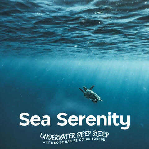 Sea Serenity