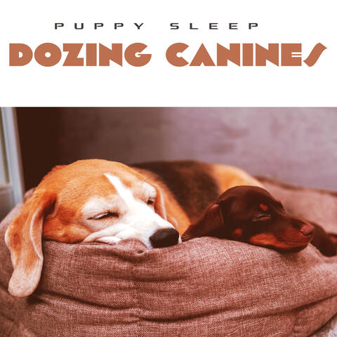 Dozing Canines
