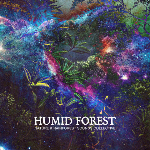 Humid Forest
