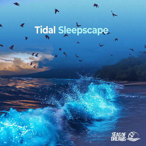 Tidal Sleepscape
