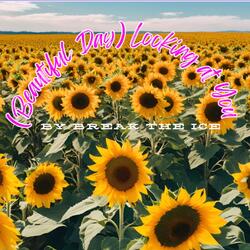 (Beautiful Day) Looking At You