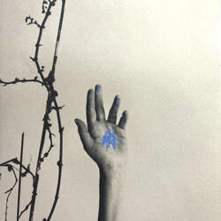 Crushing The Campsies