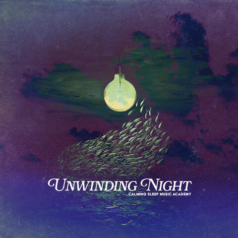 Unwinding Night