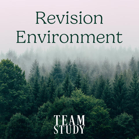 Revision Environment