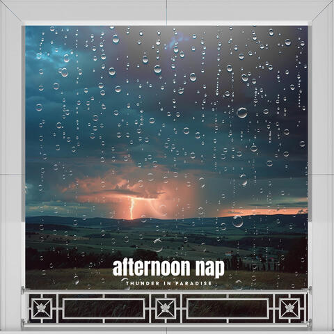 Afternoon Nap