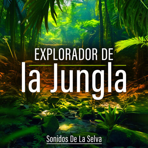 Explorador de la Jungla