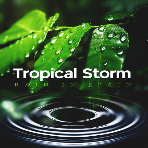 Tropical Storm