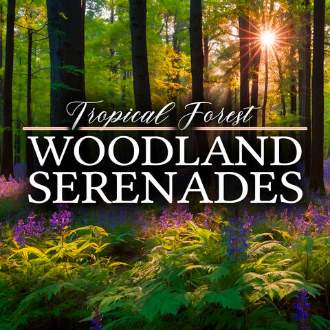 Woodland Serenades