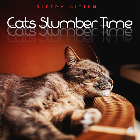 Cats Slumber Time