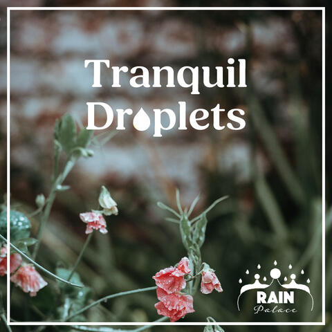Tranquil Droplets