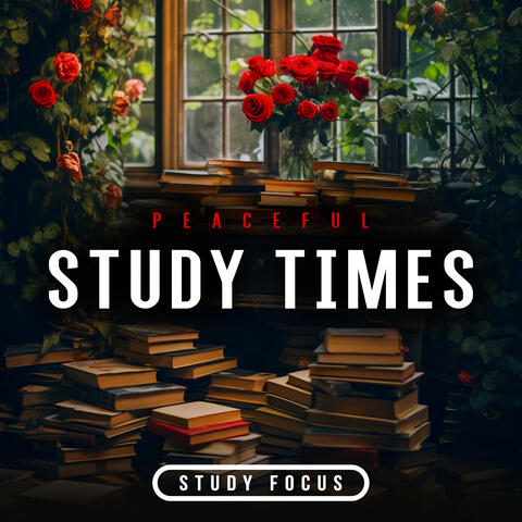 Peaceful Study Times