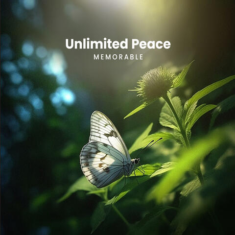 Unlimited Peace