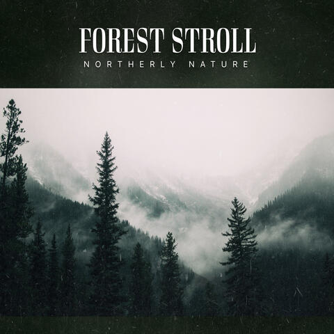 Forest Stroll