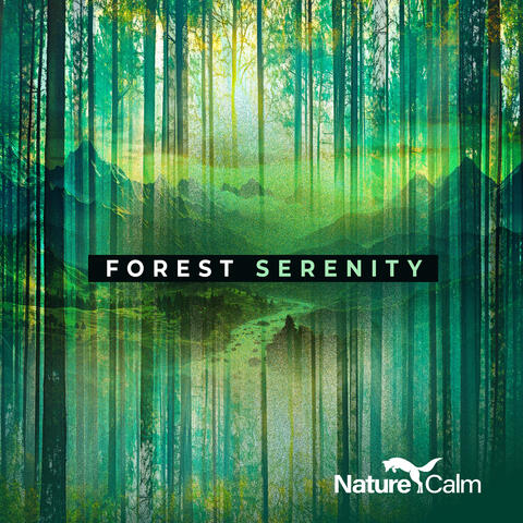 Forest Serenity