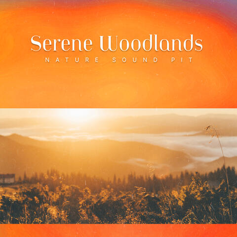 Serene Woodlands