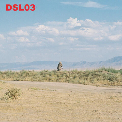 DSL03