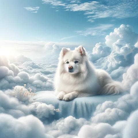 Healing Music for Dogs