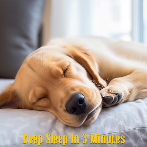 Deep Sleep In 3 Minutes