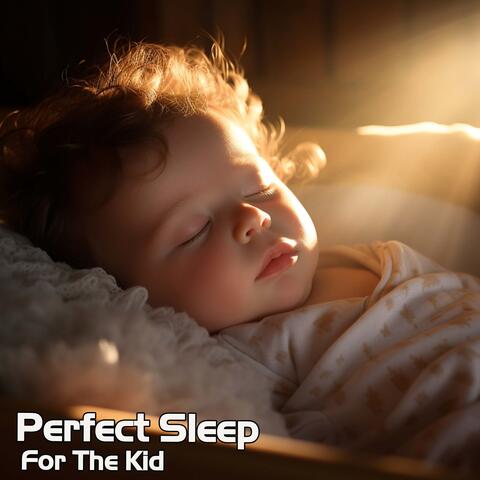 Perfect Sleep For The Kid